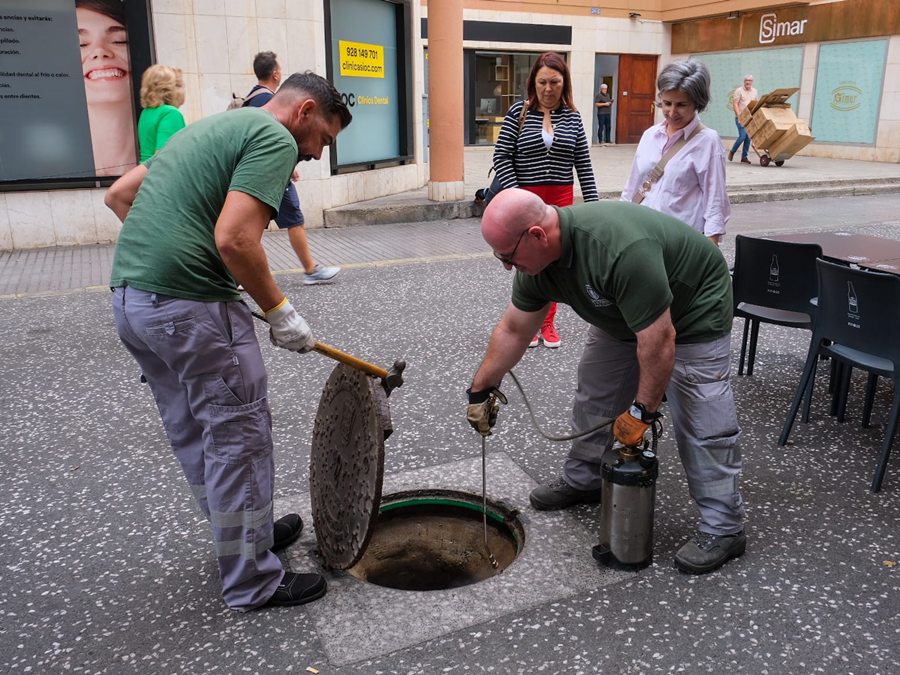 El Ayuntamiento licita el nuevo contrato para el control de plagas en la ciudad con una inversión de más de 800.000 euros