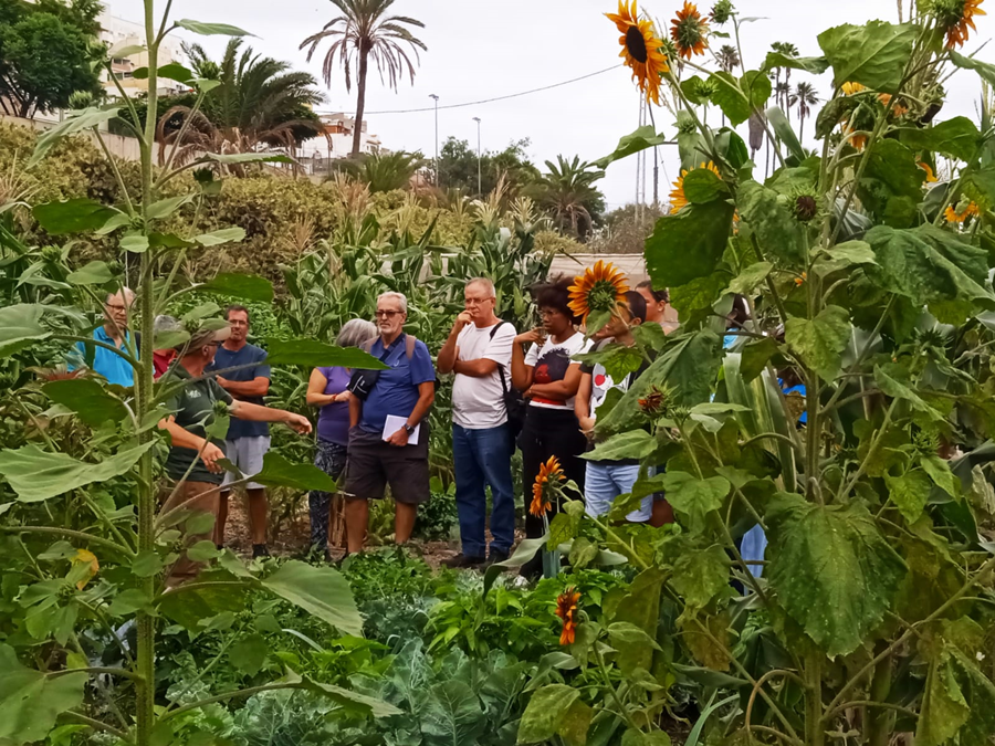 El Pambaso acogerá un nuevo taller de 'Huertos en tu hogar' para fomentar el autocultivo en macetas