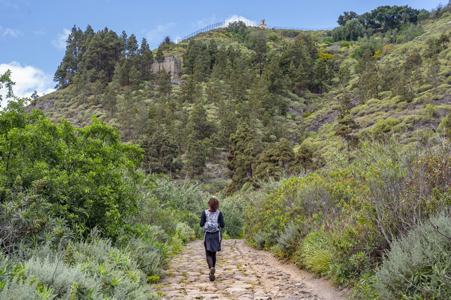 Spain Travel News promociona los atractivos de mar y naturaleza de Las Palmas de Gran Canaria entre agencias de viaje del Reino Unido