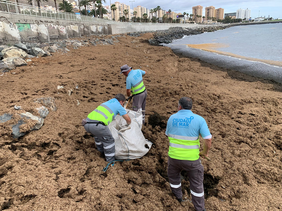 El Ayuntamiento licita por más de 17,3 millones de euros el nuevo contrato de limpieza y conservación del litoral y las playas de la ciudad