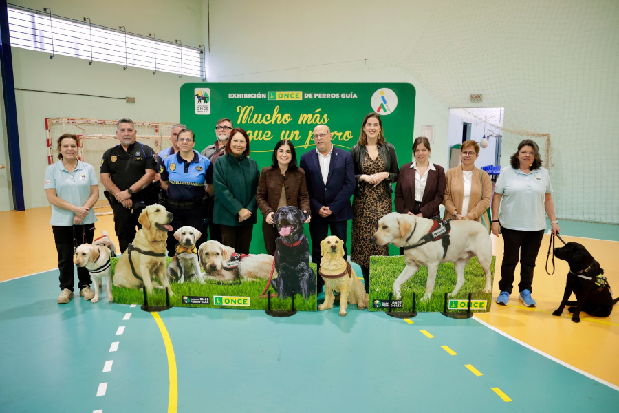 Las Palmas de Gran Canaria refuerza su compromiso con la accesibilidad junto a la Fundación ONCE del Perro Guía