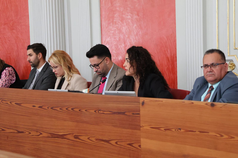 El Pleno acuerda una declaración conjunta para reivindicar la igualdad por el Día Internacional de las Mujeres