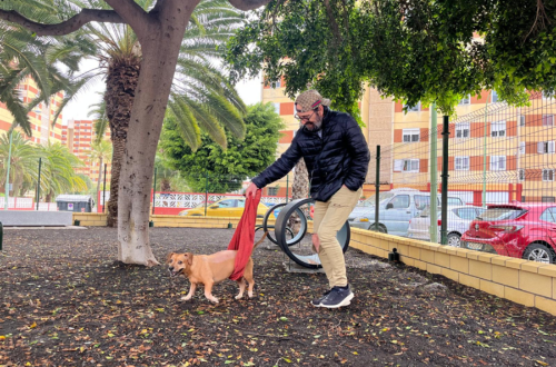 El Ayuntamiento crea un área canina y mejora las infraestructuras verdes de Cruz de Piedra