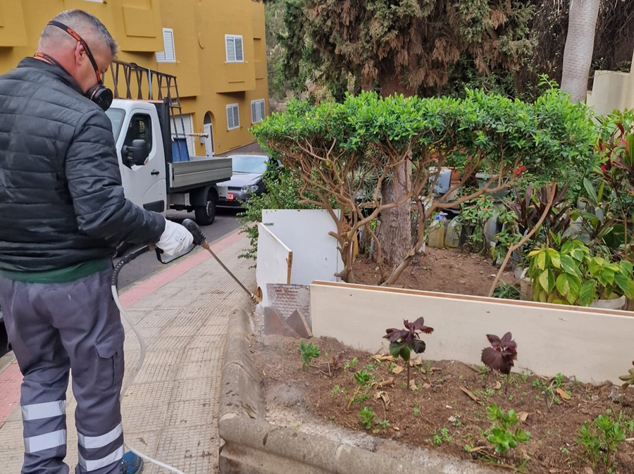 El Ayuntamiento realiza 247 intervenciones de desinsectación y desratización en enero en los cinco distritos de la ciudad