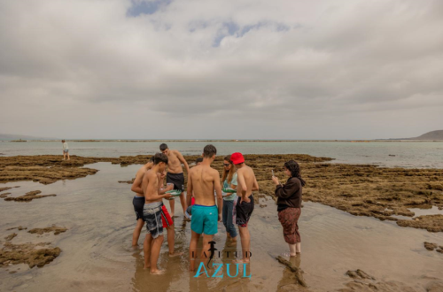 Las Canteras se convierte en un aula científica con el proyecto 'Laboratorio Marino' con la colaboración de Ciudad de Mar