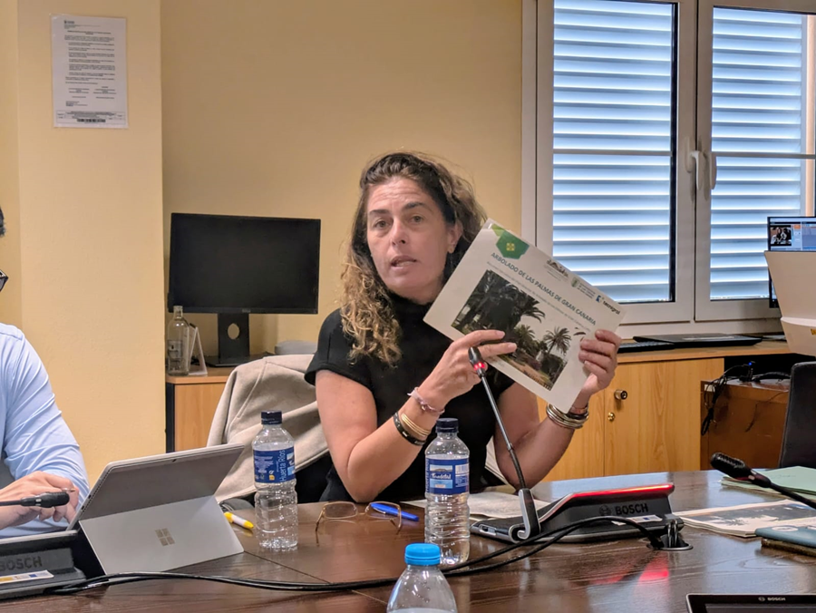 Martínez Soliño presenta en Comisión el primer Plan Director de Arbolado de Las Palmas de Gran Canaria