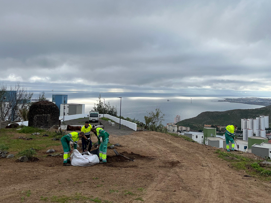 Parques y Jardines renaturaliza el mirador de El Lasso