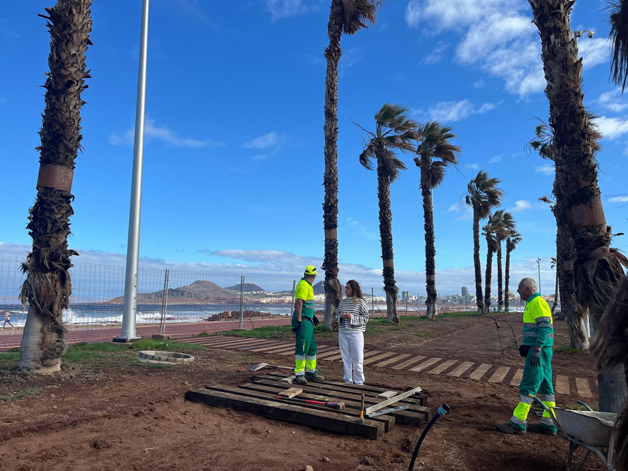 Parques y Jardines renueva la zona verde de la Plaza del Espigón