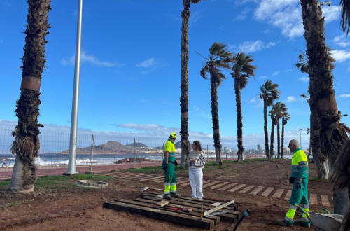 Parques y Jardines renueva la zona verde de la Plaza del Espigón