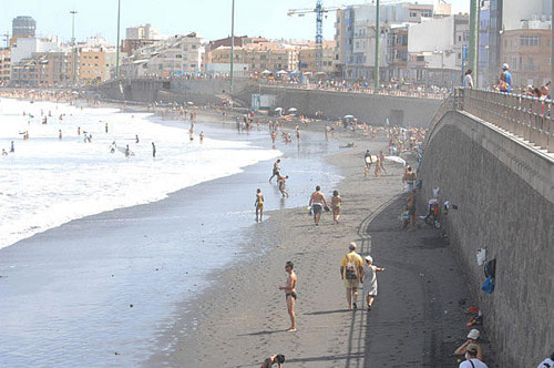 110817 cicer ampliada.jpg