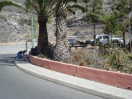 120525 Trabajos El Lasso Int.JPG