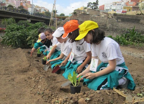 130425 Talleres Huertos Escolares gr.jpg