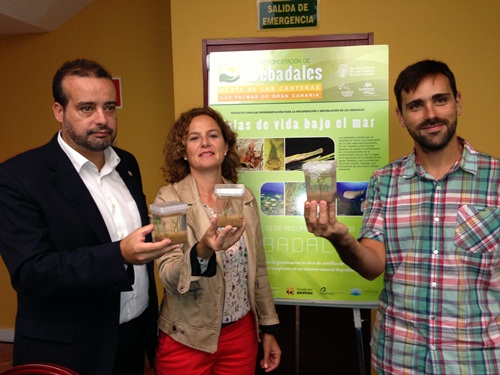 130920 Recuperacion Sebadales gr.jpg