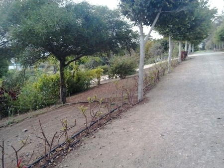 131029 Parque Juan Pablo II Int.jpg