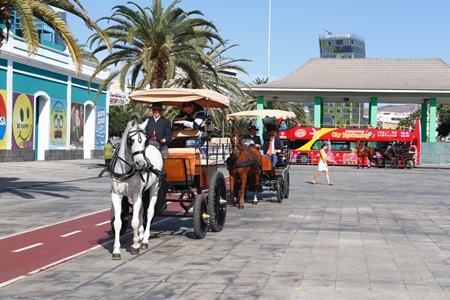 140108 PaseosTartanas Int.jpg