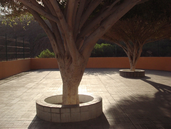 140115 Mejoras Vias y Obras gr.jpg