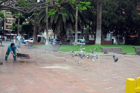 140618 Palomas Int.jpg