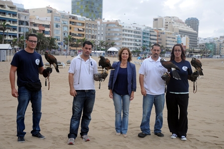 141006 Control de palomas Int.jpg