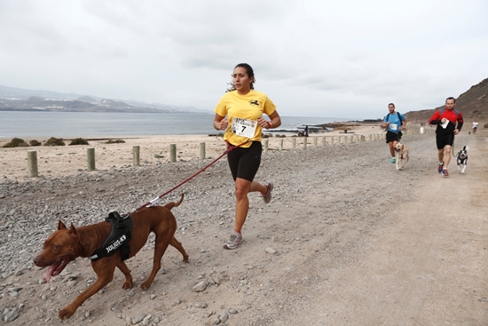 141125 Dia de Perros gr.jpg