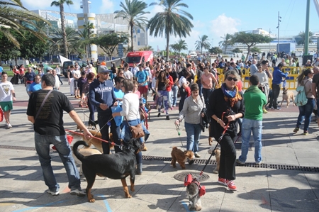141201 Balance Dia de Perros Int.jpg